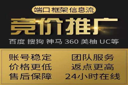 某某sem推广公司案例揭秘：如何精准定位目标用户群体